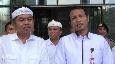 Dedi Mulyadi