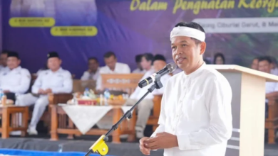 Dedi Mulyadi