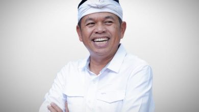 Dedi Mulyadi